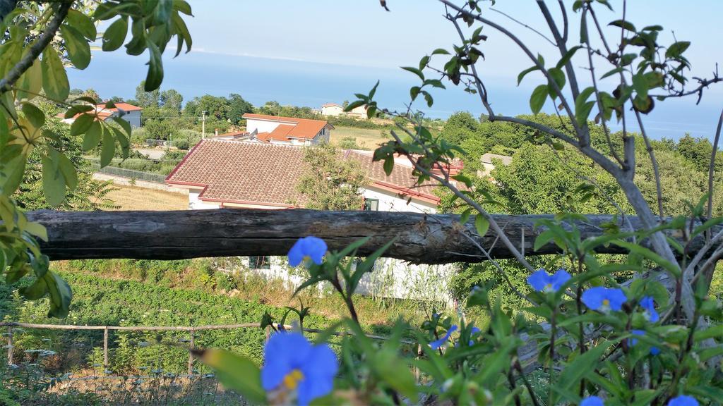Agriturismo Agri Armonia San Lucido Exterior foto